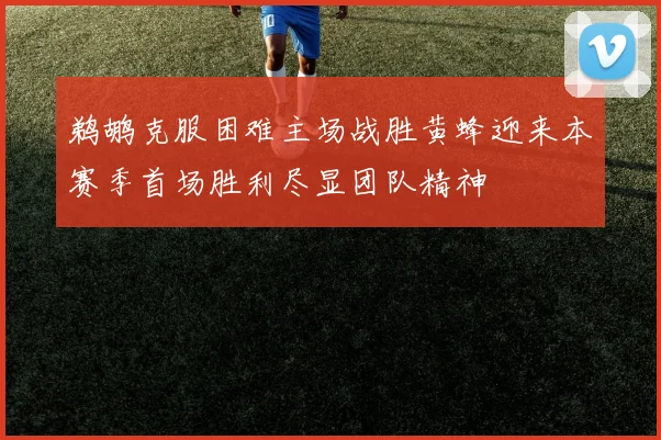 鹈鹕克服困难主场战胜黄蜂迎来本赛季首场胜利尽显团队精神