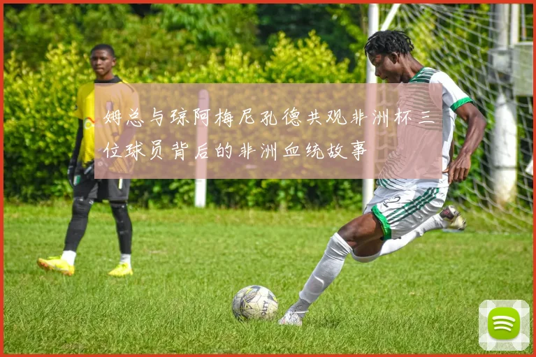 姆总与琼阿梅尼孔德共观非洲杯三位球员背后的非洲血统故事