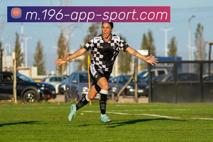 196体育平台生态图